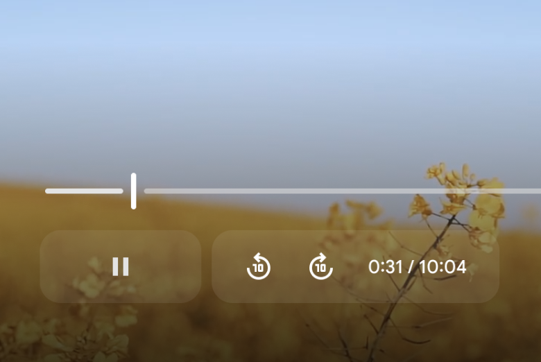 Google Workspace Video Player